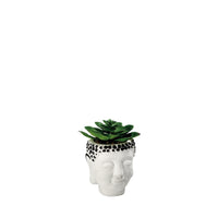Ad Vaso Con Pianta Grassa Per Decorazione 2 colori D9Xh13