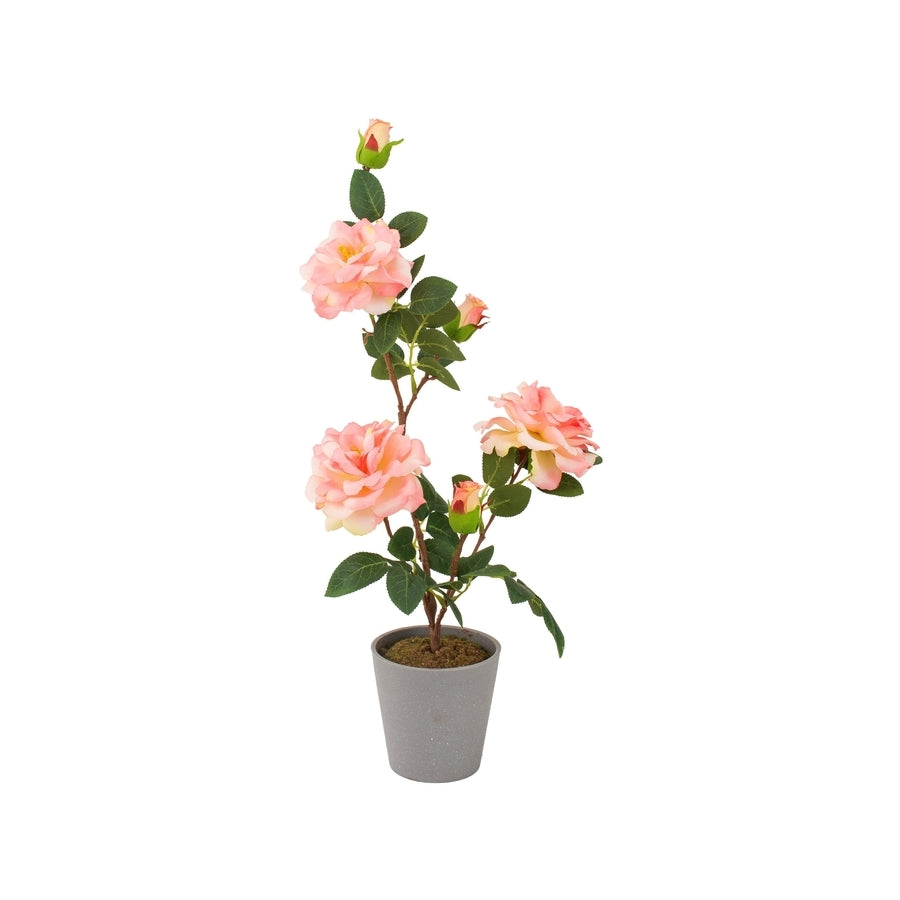 Ad Vaso Con Rosa 3 fiori 4 colori D11Xh55