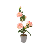 Ad Vaso Con Rosa 3 fiori 4 colori D11Xh55