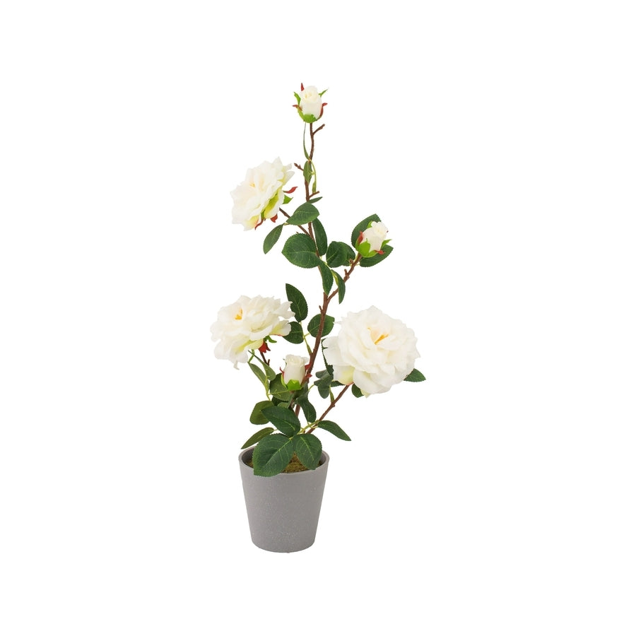 Ad Vaso Con Rosa 3 fiori 4 colori D11Xh55