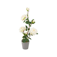 Ad Vaso Con Rosa 3 fiori 4 colori D11Xh55
