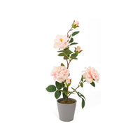 Ad Vaso Con Rosa 3 fiori 4 colori D11Xh55