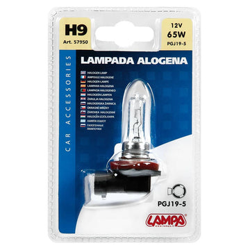 Pilot - Lampada alogena H9 12V65W art 57950