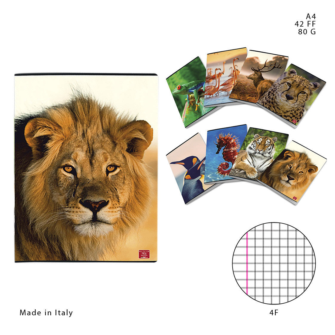 Pigna - Quaderno Maxi A4 42FF 80g 4F Animal