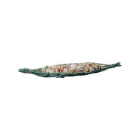 Ad Composizione Con Conchiglie 3 colori 61X9Xh6Cm