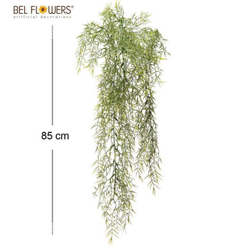 Bel Flowers® Cadente Asparagina Cm85x35Cm