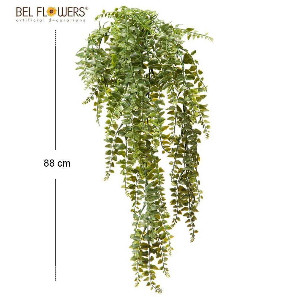 Bel Flowers® Cadente Mini Pothos Cm88x35Cm