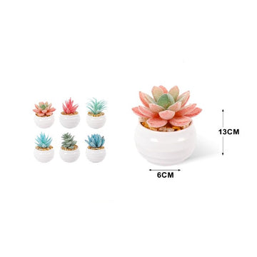 Kmt Piante Artificiali 6*6*13Cm